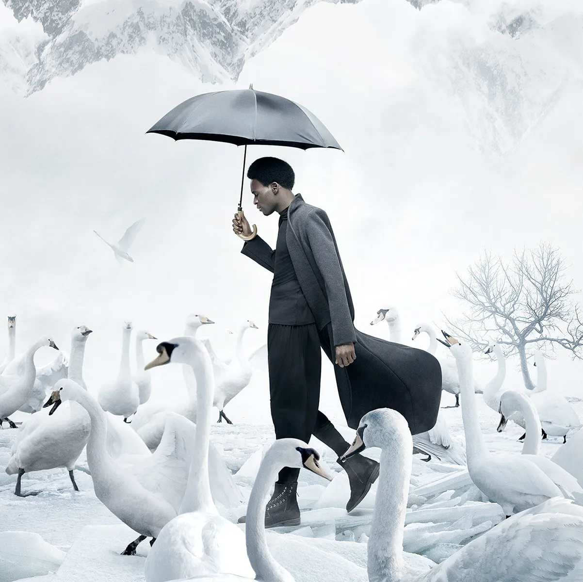daffndill – German web agency on the Costa del Sol – interface image